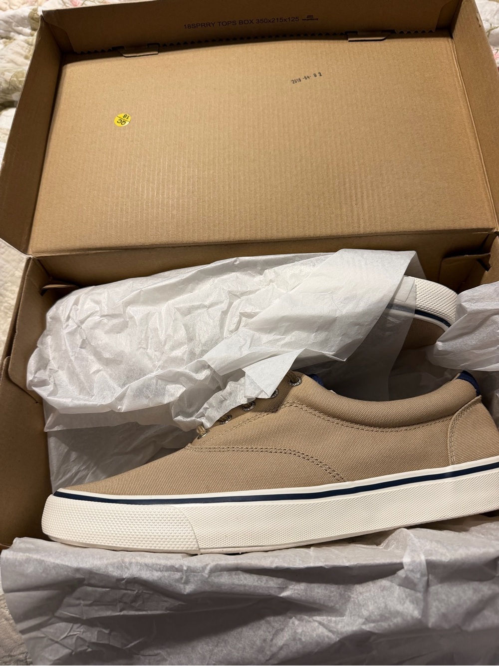 Sperry Men's Size 13 Canvas Low-Top Sneakers - Beige with Navy Trim